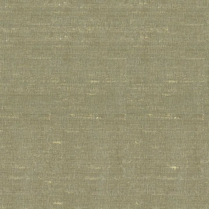 Unforgettable Willow  by Kasmir Fabric See sample 100% Polyester
 INDIA 25,000 Wyzenbeek Double Rubs </p><p>Repeat: Horizontal: N/A and Vertical: N/A 54  - Fabric Carolina -
