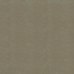 Kravet Design Unica-11 by Kravet Design Fabric