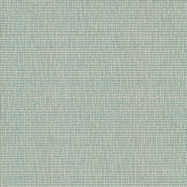Unity Spa by Kasmir Fabric 1464 100% Polyester
 TURKEY 50,000 Wyzenbeek Double Rubs Horizontal: N/A and Vertical: N/A 55 - Fabric Carolina -