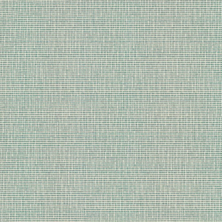 Unity Spa by Kasmir Fabric 1464 100% Polyester
 TURKEY </p><p>Repeat: Horizontal: N/A and Vertical: N/A 55 - Fabric Carolina -