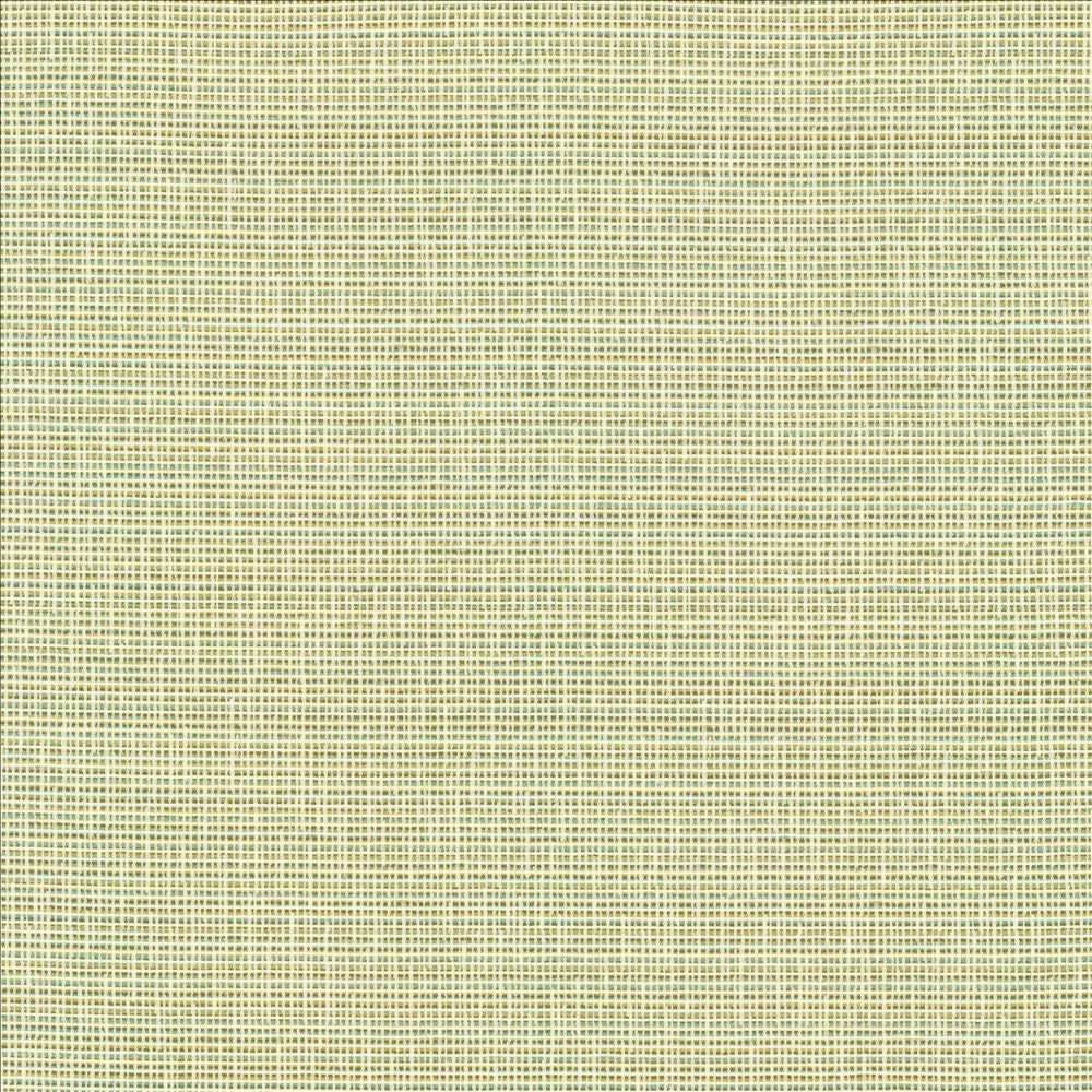 Unity Spring by Kasmir Fabric 1464 100% Polyester
 TURKEY </p><p>Repeat: Horizontal: N/A and Vertical: N/A 55 - Fabric Carolina -