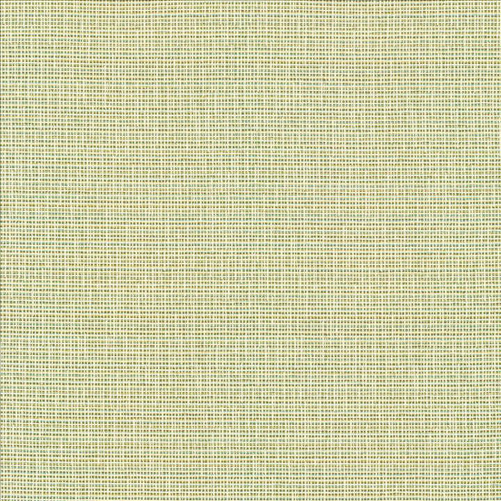 Unity Spring by Kasmir Fabric 1464 100% Polyester
 TURKEY </p><p>Repeat: Horizontal: N/A and Vertical: N/A 55 - Fabric Carolina -