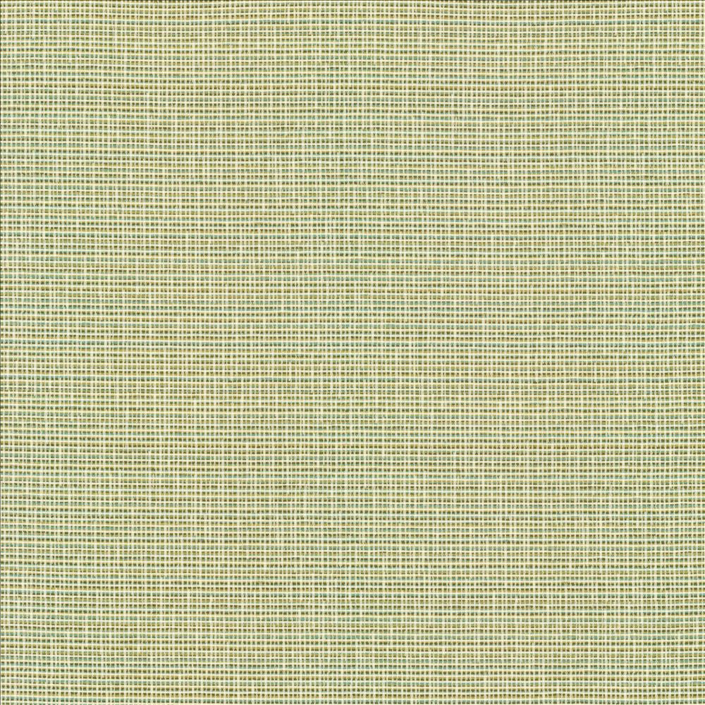 Unity Spring by Kasmir Fabric 1464 100% Polyester
 TURKEY 50,000 Wyzenbeek Double Rubs </p><p>Repeat: Horizontal: N/A and Vertical: N/A 55 - Fabric Carolina -