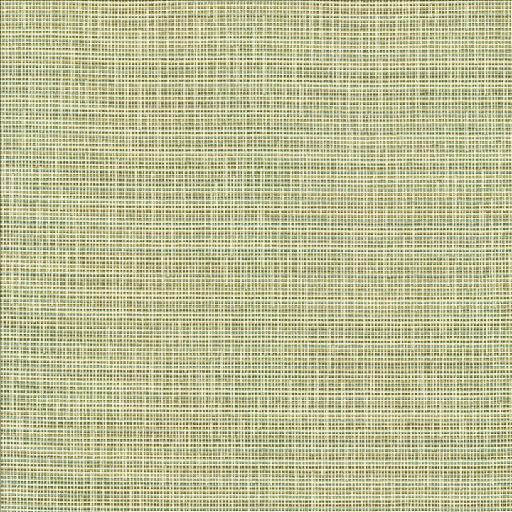 Unity Spring by Kasmir Fabric 1464 100% Polyester
 TURKEY 50,000 Wyzenbeek Double Rubs </p><p>Repeat: Horizontal: N/A and Vertical: N/A 55 - Fabric Carolina -