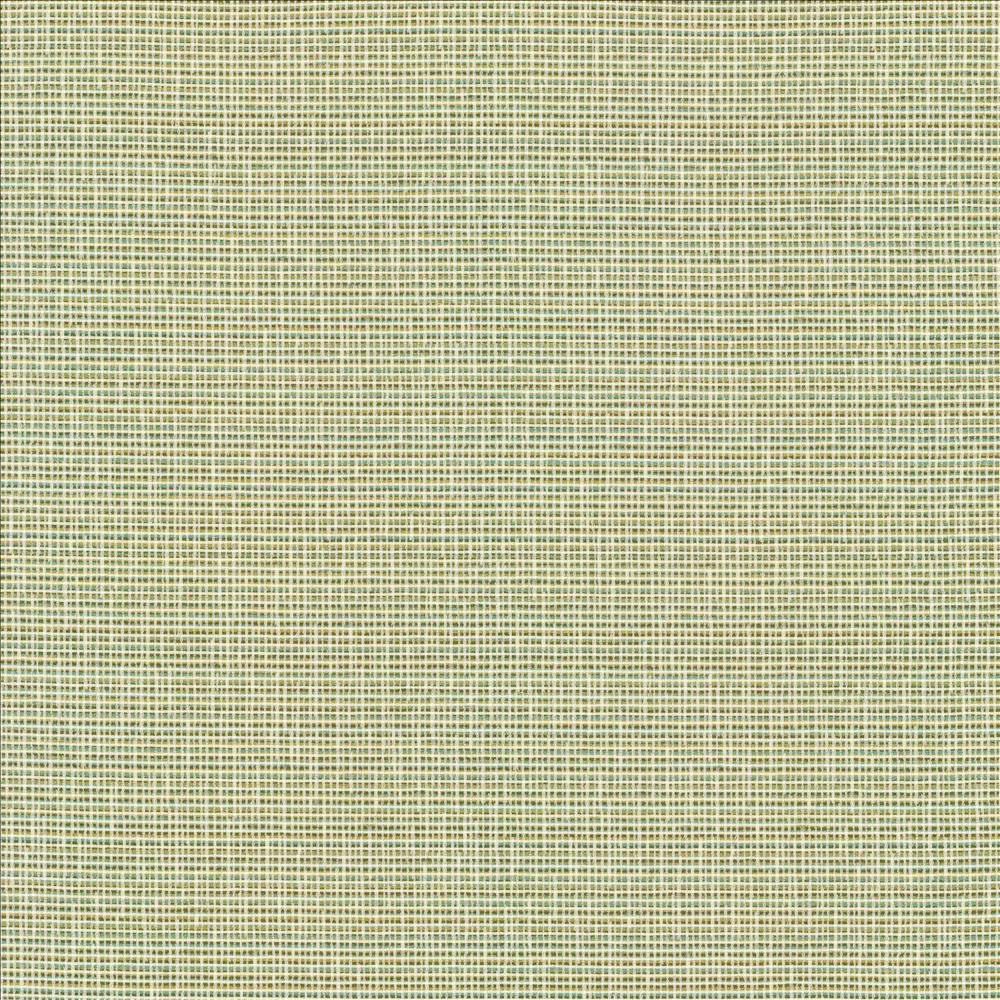 Unity Spring  by Kasmir Fabric See sample 100% Polyester
 TURKEY 50,000 Wyzenbeek Double Rubs </p><p>Repeat: Horizontal: N/A and Vertical: N/A 55  - Fabric Carolina -