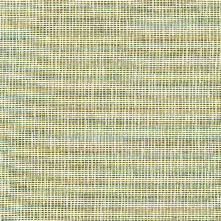 Unity Spring  by Kasmir Fabric See sample 100% Polyester
 TURKEY 50,000 Wyzenbeek Double Rubs </p><p>Repeat: Horizontal: N/A and Vertical: N/A 55  - Fabric Carolina -
