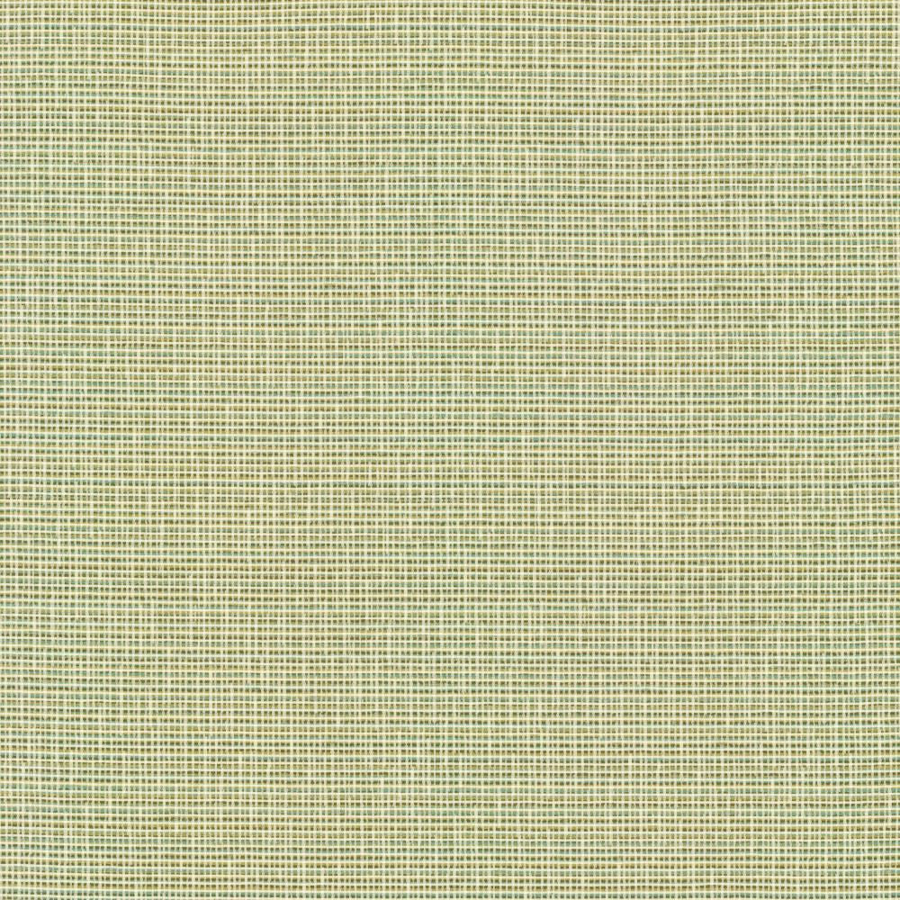 Unity Spring by Kasmir Fabric 1464 100% Polyester
 TURKEY </p><p>Repeat: Horizontal: N/A and Vertical: N/A 55 - Fabric Carolina -