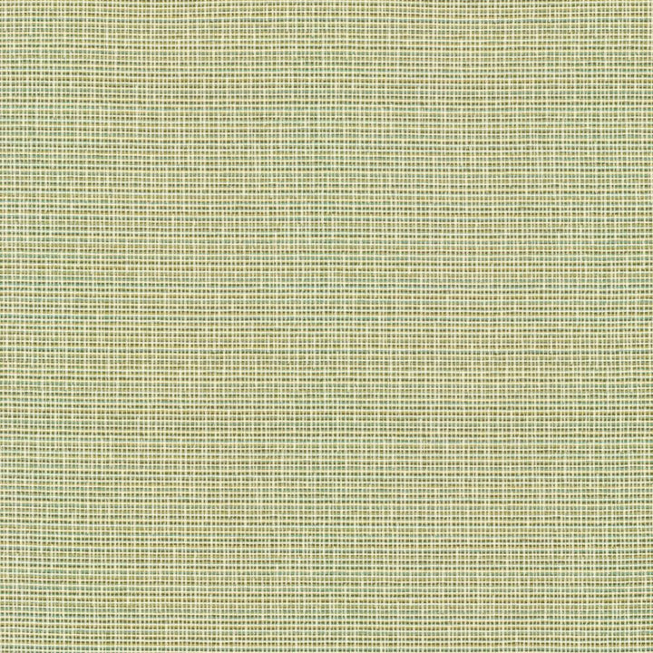 Unity Spring by Kasmir Fabric 1464 100% Polyester
 TURKEY </p><p>Repeat: Horizontal: N/A and Vertical: N/A 55 - Fabric Carolina -