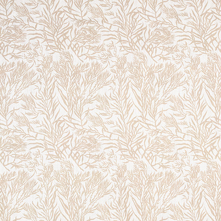 Aquatic Life Natural by Carole Designer Fabric