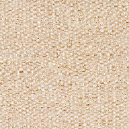 Within The Lines Flax by Carole Designer Fabric