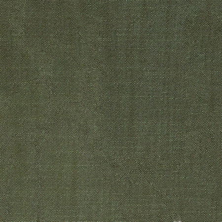 Fresh Start Grass by Carole Designer Fabric