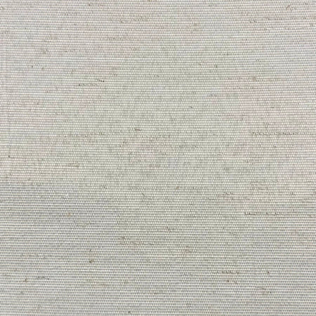 Lunar Mirage Gray by Carole Designer Fabric