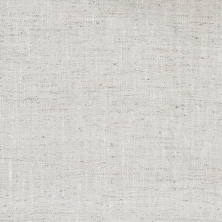 Within The Lines Silver by Carole Designer Fabric