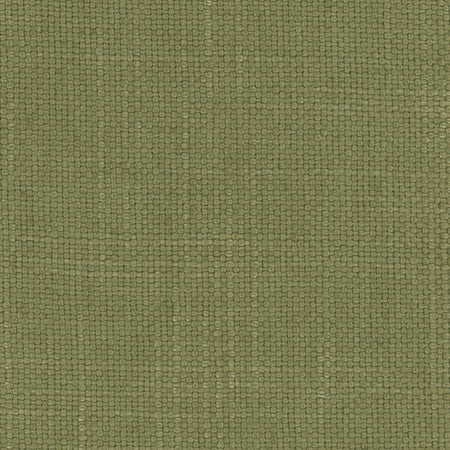 Autumn Breeze Avocado by Carole Designer Fabric