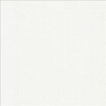 Valeda Lotion by Kasmir Fabric 5092 63% Cotton 37% Polyester TAIWAN 100,000 Wyzenbeek Double Rubs H: N/A, V: N/A 54 - Fabric Carolina - Kasmir