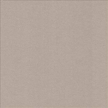 Valeda Prairie by Kasmir Fabric 5092 63% Cotton 37% Polyester TAIWAN 100,000 Wyzenbeek Double Rubs H: N/A, V: N/A 54 - Fabric Carolina - Kasmir