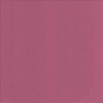 Valeda Rosetta by Kasmir Fabric 5096 63% Cotton 37% Polyester TAIWAN 100,000 Wyzenbeek Double Rubs H: N/A, V: N/A 54 - Fabric Carolina - Kasmir