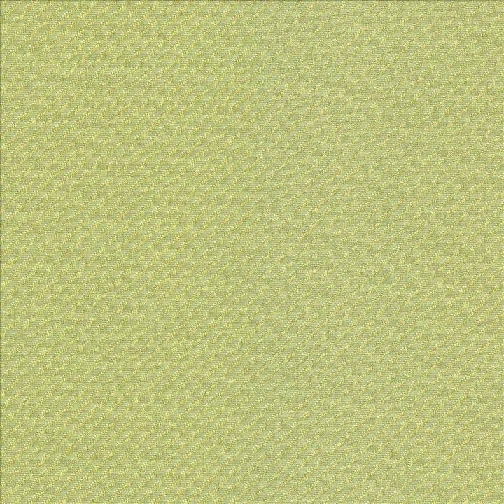 Valeda Springtime by Kasmir Fabric 5099 63% Cotton 37% Polyester TAIWAN 100,000 Wyzenbeek Double Rubs Horizontal: 0 Inches and Vertical: 0 Inches 54 - Fabric Carolina -