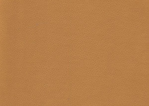 Valera Saffron by Kravet Contract Fabric