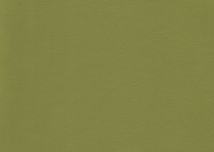 Valera Wasabi by Kravet Contract Fabric