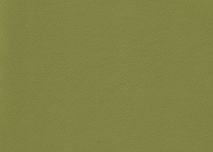Valera Wasabi by Kravet Contract Fabric