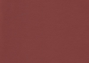 Valera Cumin by Kravet Contract Fabric