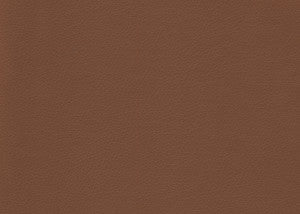 Valera Sienna by Kravet Contract Fabric