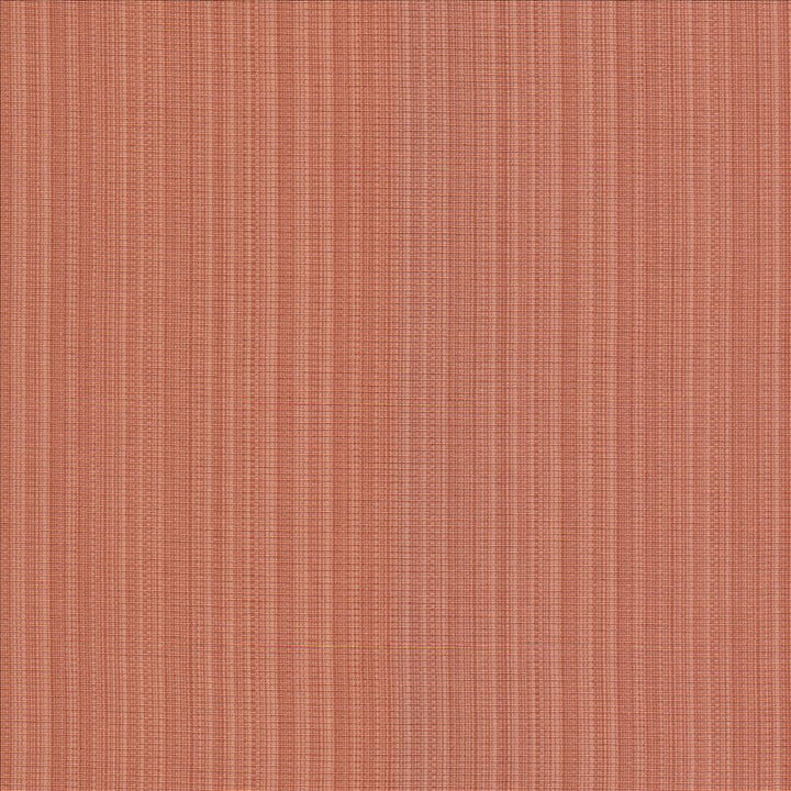 Vanda Coral by Kasmir Fabric 5095 52% Cotton
48% Polyester
 INDIA 30,000 Wyzenbeek Double Rubs </p><p>Repeat: Horizontal: N/A and Vertical: N/A 55 - Fabric Carolina -
