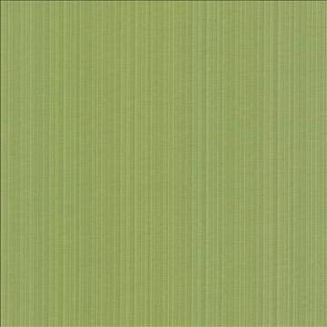 Vanda Fern by Kasmir Fabric 5099 52% Cotton 48% Polyester INDIA 30,000 Wyzenbeek Double Rubs H: N/A, V: N/A 55 - Fabric Carolina - Kasmir