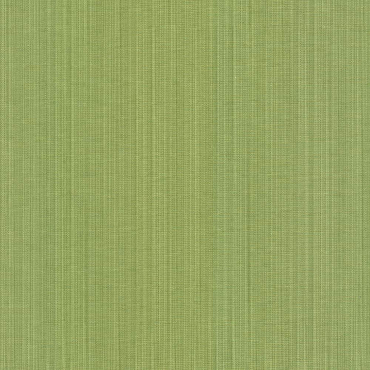 Vanda Fern by Kasmir Fabric 5099 52% Cotton
48% Polyester
 INDIA </p><p>Repeat: Horizontal: N/A and Vertical: N/A 55 - Fabric Carolina -
