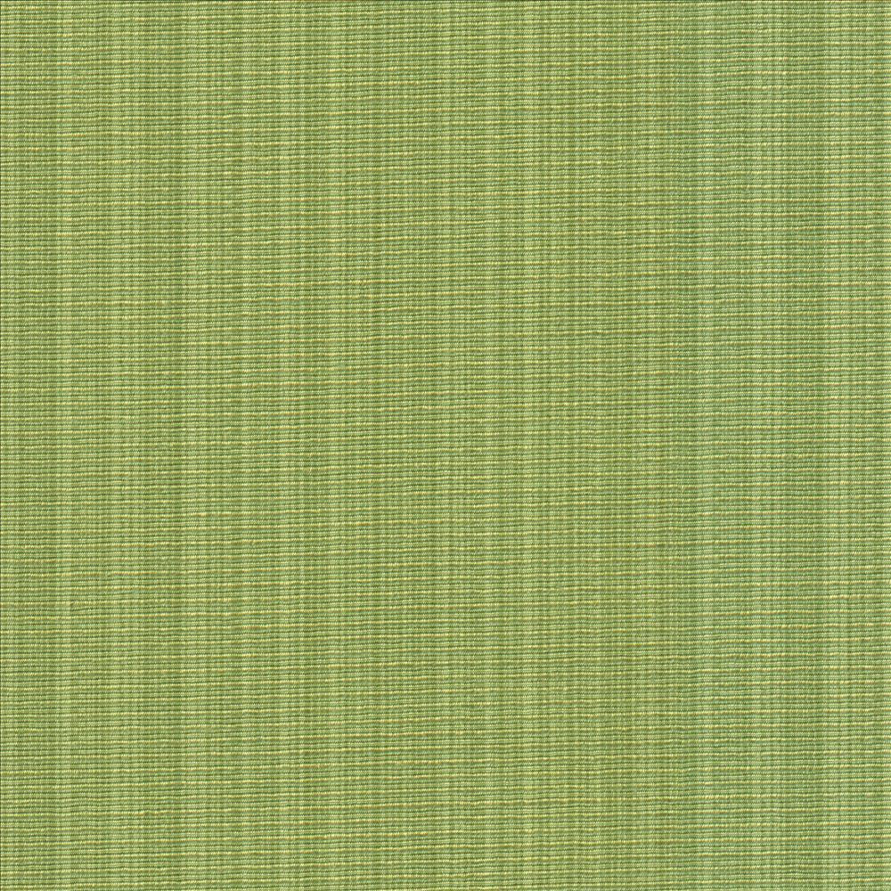 Vanda Fern by Kasmir Fabric 5099 52% Cotton 48% Polyester INDIA 30,000 Wyzenbeek Double Rubs Horizontal: 0 Inches and Vertical: 0 Inches 55 - Fabric Carolina -