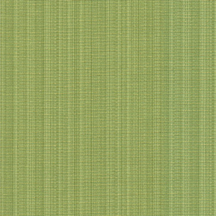 Vanda Fern by Kasmir Fabric 5099 52% Cotton
48% Polyester
 INDIA 30,000 Wyzenbeek Double Rubs Horizontal: N/A and Vertical: N/A 55 - Fabric Carolina -
