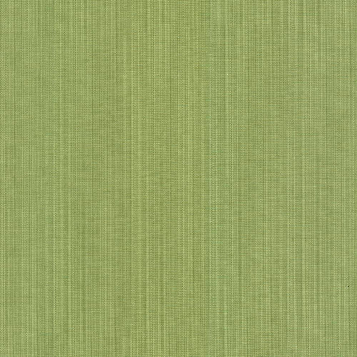 Vanda Fern by Kasmir Fabric 5099 INDIA 30,000 Wyzenbeek Double Rubs H: N/A, V:N/A 55 - Fabric Carolina - Kasmir