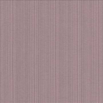 Vanda Lilac by Kasmir Fabric 5096 52% Cotton 48% Polyester INDIA 30,000 Wyzenbeek Double Rubs H: N/A, V: N/A 55 - Fabric Carolina - Kasmir