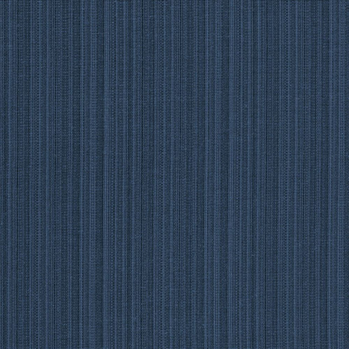 Vanda Navy by Kasmir Fabric 5097 52% Cotton
48% Polyester
 INDIA 30,000 Wyzenbeek Double Rubs </p><p>Repeat: Horizontal: N/A and Vertical: N/A 55 - Fabric Carolina -