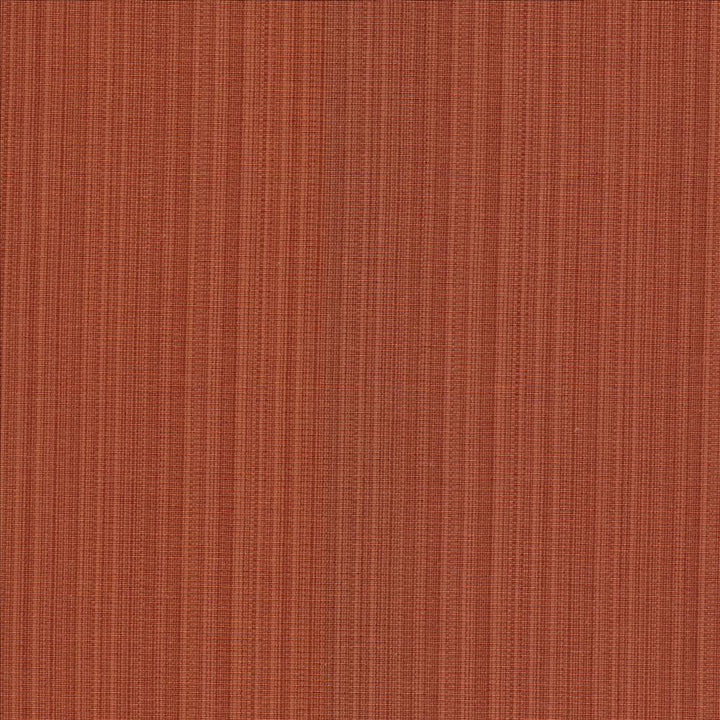 Vanda Terra by Kasmir Fabric 5095 52% Cotton
48% Polyester
 INDIA 30,000 Wyzenbeek Double Rubs </p><p>Repeat: Horizontal: N/A and Vertical: N/A 55 - Fabric Carolina -