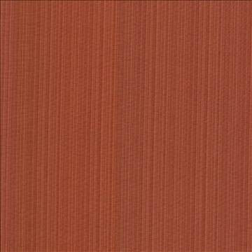 Vanda Terra by Kasmir Fabric 5095 52% Cotton 48% Polyester INDIA 30,000 Wyzenbeek Double Rubs H: N/A, V: N/A 55 - Fabric Carolina - Kasmir