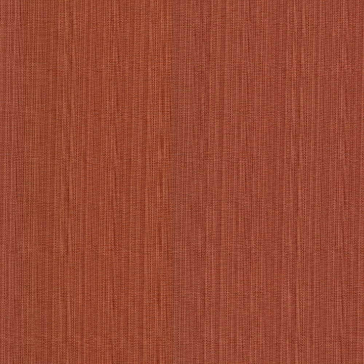 Vanda Terra by Kasmir Fabric 5095 INDIA 30,000 Wyzenbeek Double Rubs H: N/A, V:N/A 55 - Fabric Carolina - Kasmir
