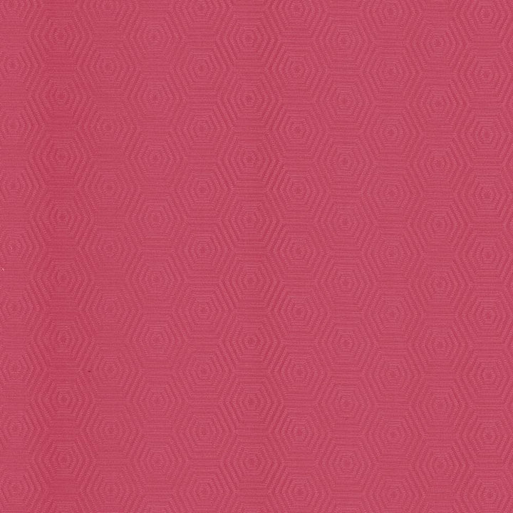 Vault Begonia by Kasmir Fabric 5095 69% Cotton
31% Polyester
 CHINA </p><p>Repeat: Horizontal: 3 inches and Vertical: 1 6/8 inches 57 - Fabric Carolina -