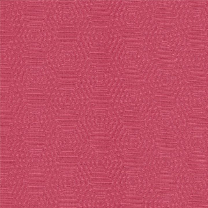 Vault Begonia by Kasmir Fabric 5095 69% Cotton
31% Polyester
 CHINA 42,000 Wyzenbeek Double Rubs </p><p>Repeat: Horizontal: 3 inches and Vertical: 1 6/8 inches 57 - Fabric Carolina -