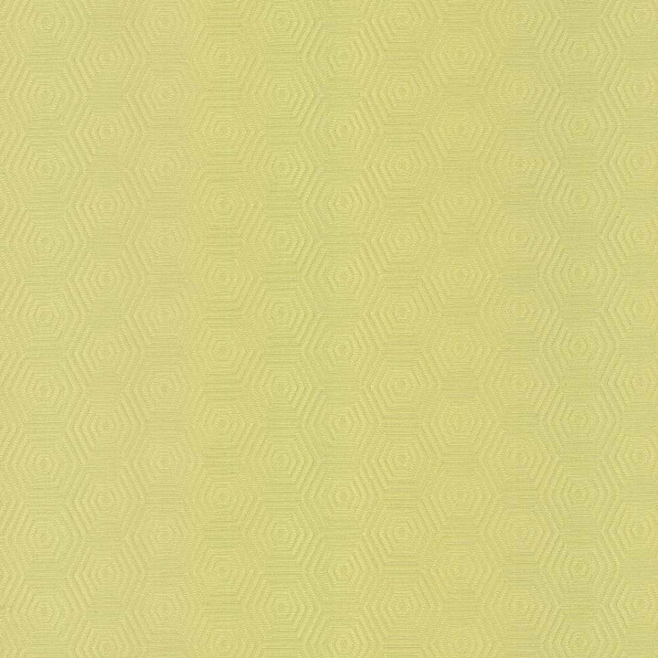 Vault Wheatgrass by Kasmir Fabric 5099 CHINA 42,000 Wyzenbeek Double Rubs H: 3 inches, V:1 6/8 inches 57 - Fabric Carolina - Kasmir