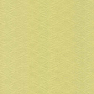 Vault Wheatgrass by Kasmir Fabric