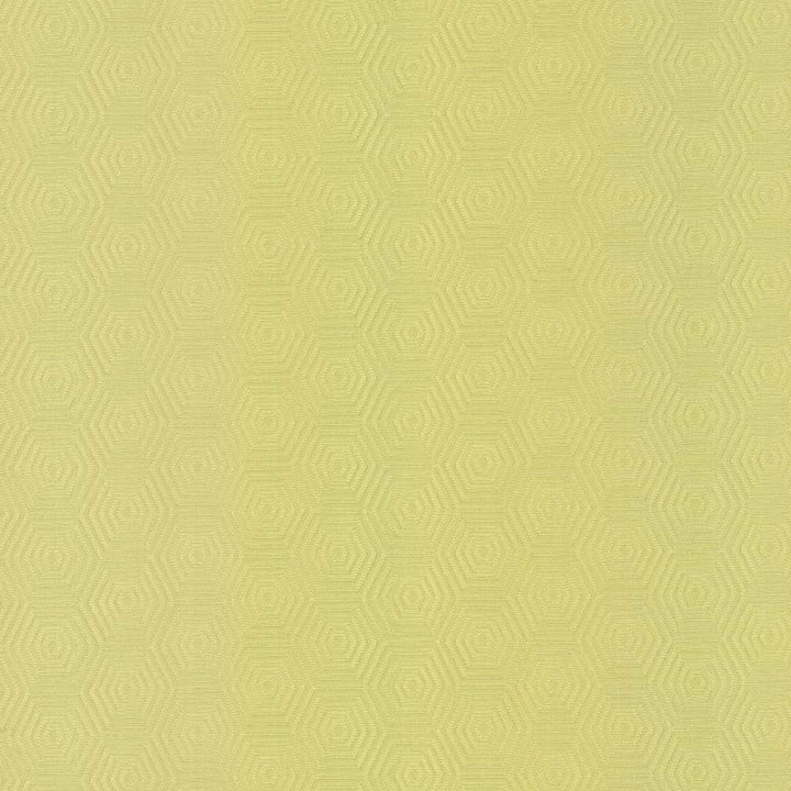 Vault Wheatgrass by Kasmir Fabric 5099 69% Cotton
31% Polyester
 CHINA </p><p>Repeat: Horizontal: 3 inches and Vertical: 1 6/8 inches 57 - Fabric Carolina -