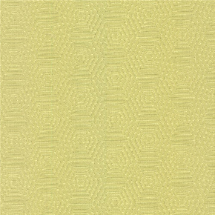 Vault Wheatgrass  by Kasmir Fabric See sample 69% Cotton
31% Polyester
 CHINA 42,000 Wyzenbeek Double Rubs </p><p>Repeat: Horizontal: 3 inches and Vertical: 1 6/8 inches 57  - Fabric Carolina -