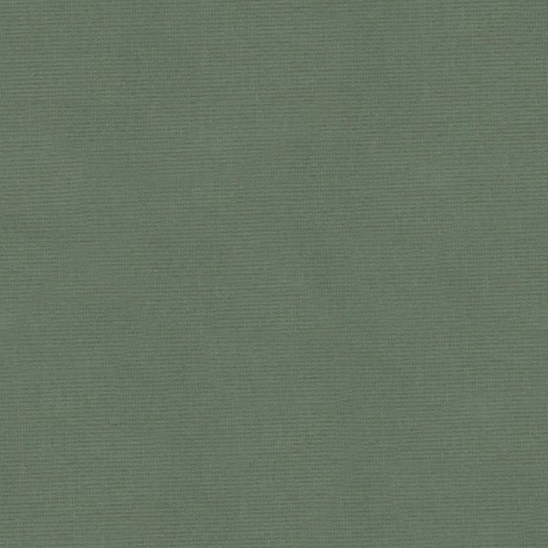 VERSAILLES.E25165 by Kravet Design Designer Fabric our website for purchase Cotton 100% Netherlands Heavy Horizontal: see sample and Vertical: see sample 54 inches - Swanky Fabrics -