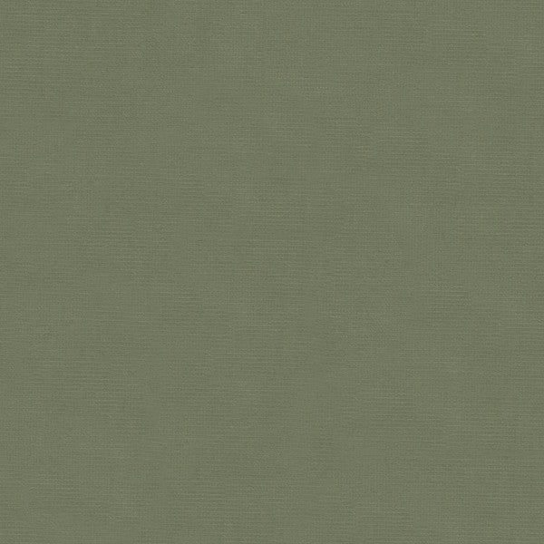 VERSAILLES.E26512 by Kravet Design Designer Fabric our website for purchase Cotton 100% Netherlands Heavy Horizontal: see sample and Vertical: see sample 54 inches - Swanky Fabrics -