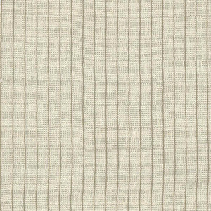 Vertigo Natural by Kasmir Fabric