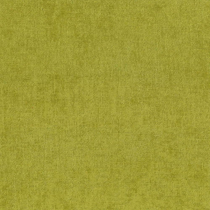 Vestige Basil by Kasmir Fabric 5051 100% Polyester
 CHINA 30,000 Wyzenbeek Double Rubs </p><p>Repeat: Horizontal: N/A and Vertical: N/A 55 - Fabric Carolina -
