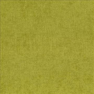 Vestige Basil by Kasmir Fabric 5051 100% Polyester CHINA 30,000 Wyzenbeek Double Rubs H: N/A, V: N/A 55 - Fabric Carolina - Kasmir