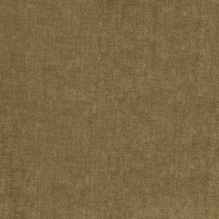 Vestige Beaver by Kasmir Fabric 5051 CHINA 30,000 Wyzenbeek Double Rubs H: N/A, V:N/A 55 - Fabric Carolina - Kasmir